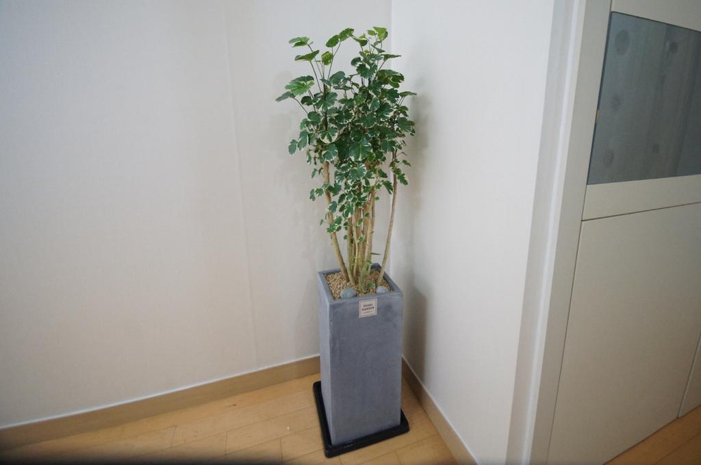 Enjoy Budget Apartment In Gangnam 2 Seoul Exterior photo